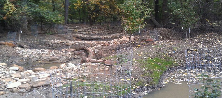 "Regenerative stormwater conveyance" in Carriage Hills, D.C.