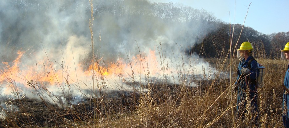 Michigan, Prescribed Burn, Nichols Arboretum