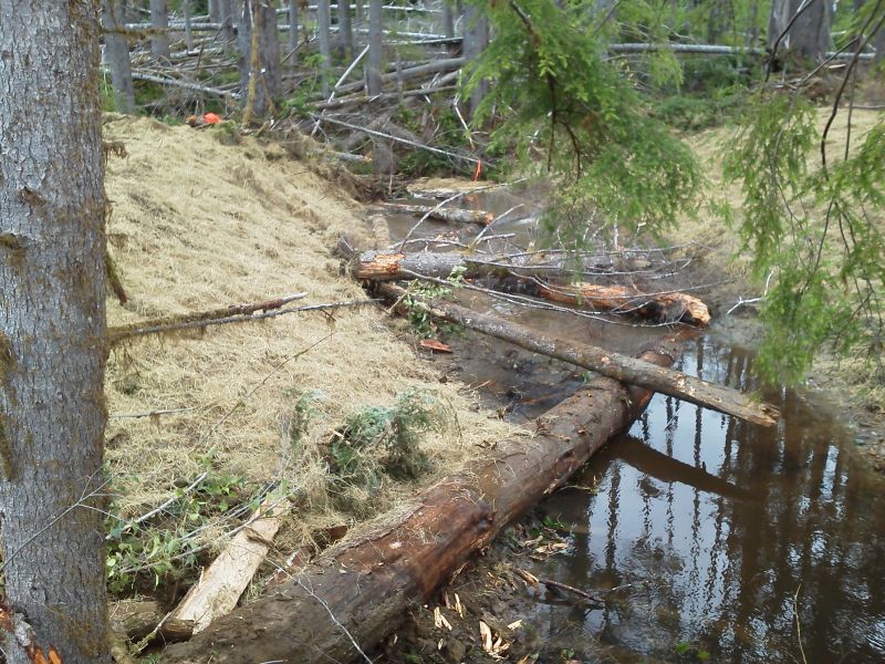 RESTORATION WALKS