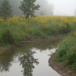 Ohio, Stream Restoration