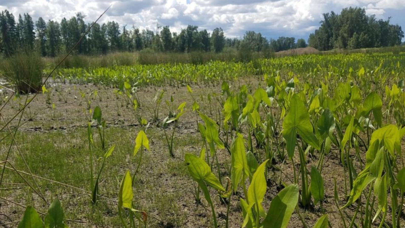 2022 Chapter Award Winners