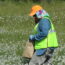 person collecting native seed in a paper bag in a meadow