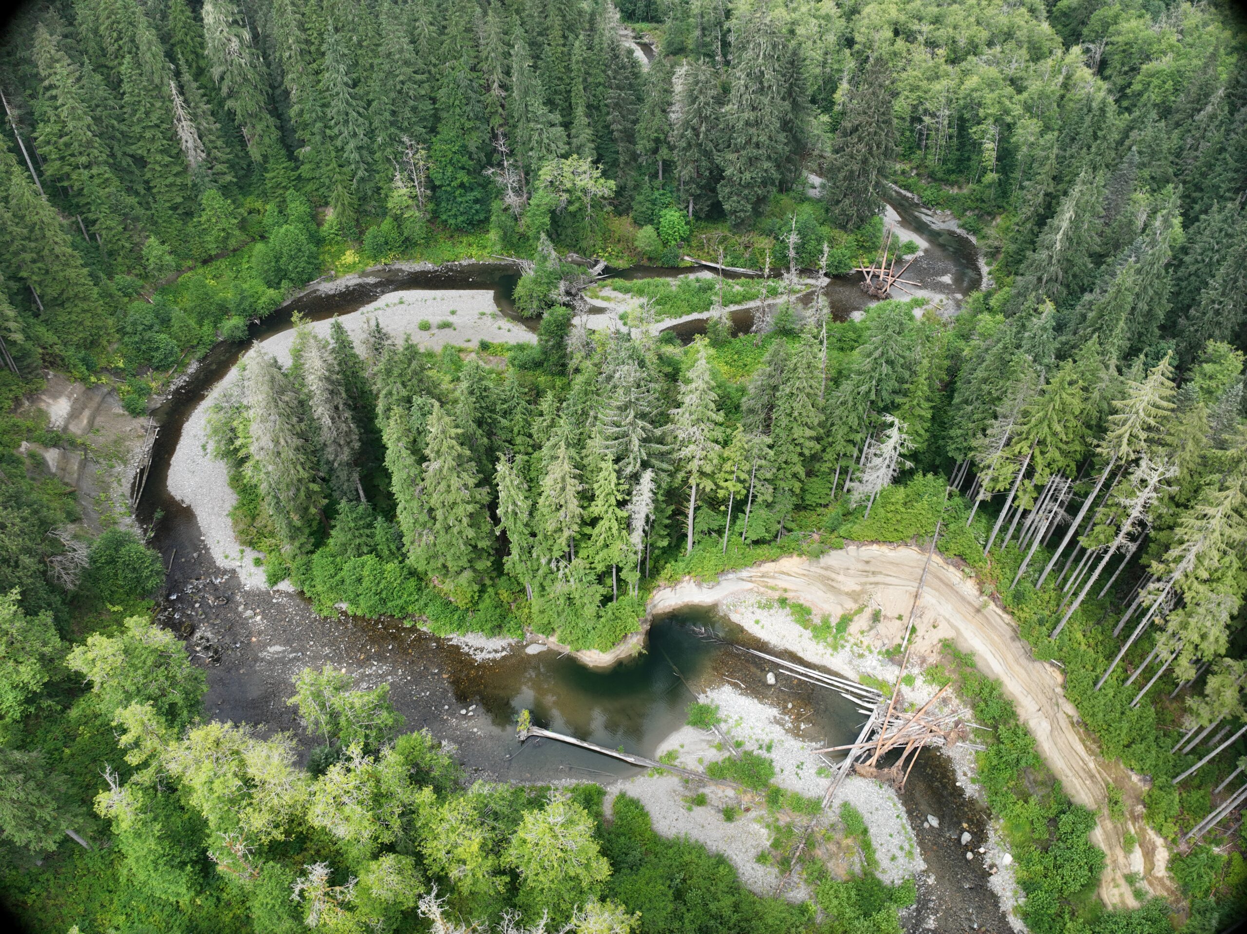 An aerial view of the winding Pilchuck River.