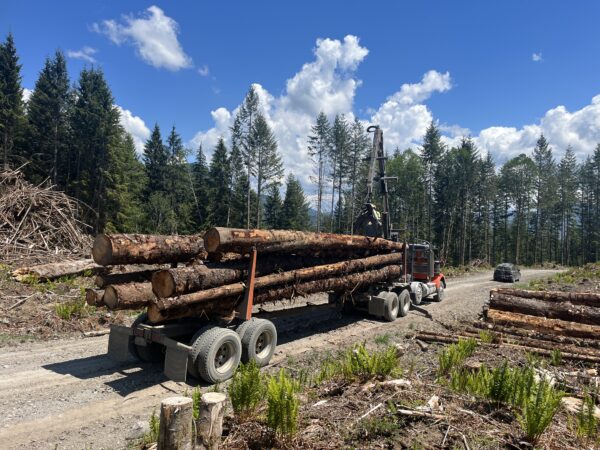 Log truck with logs