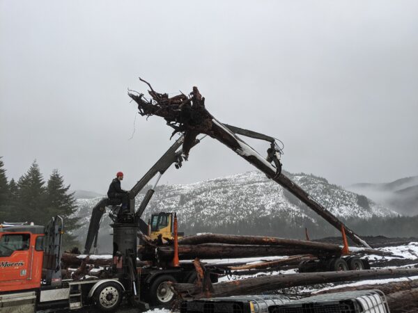 Collecting wood recently pulled from a reservoir.