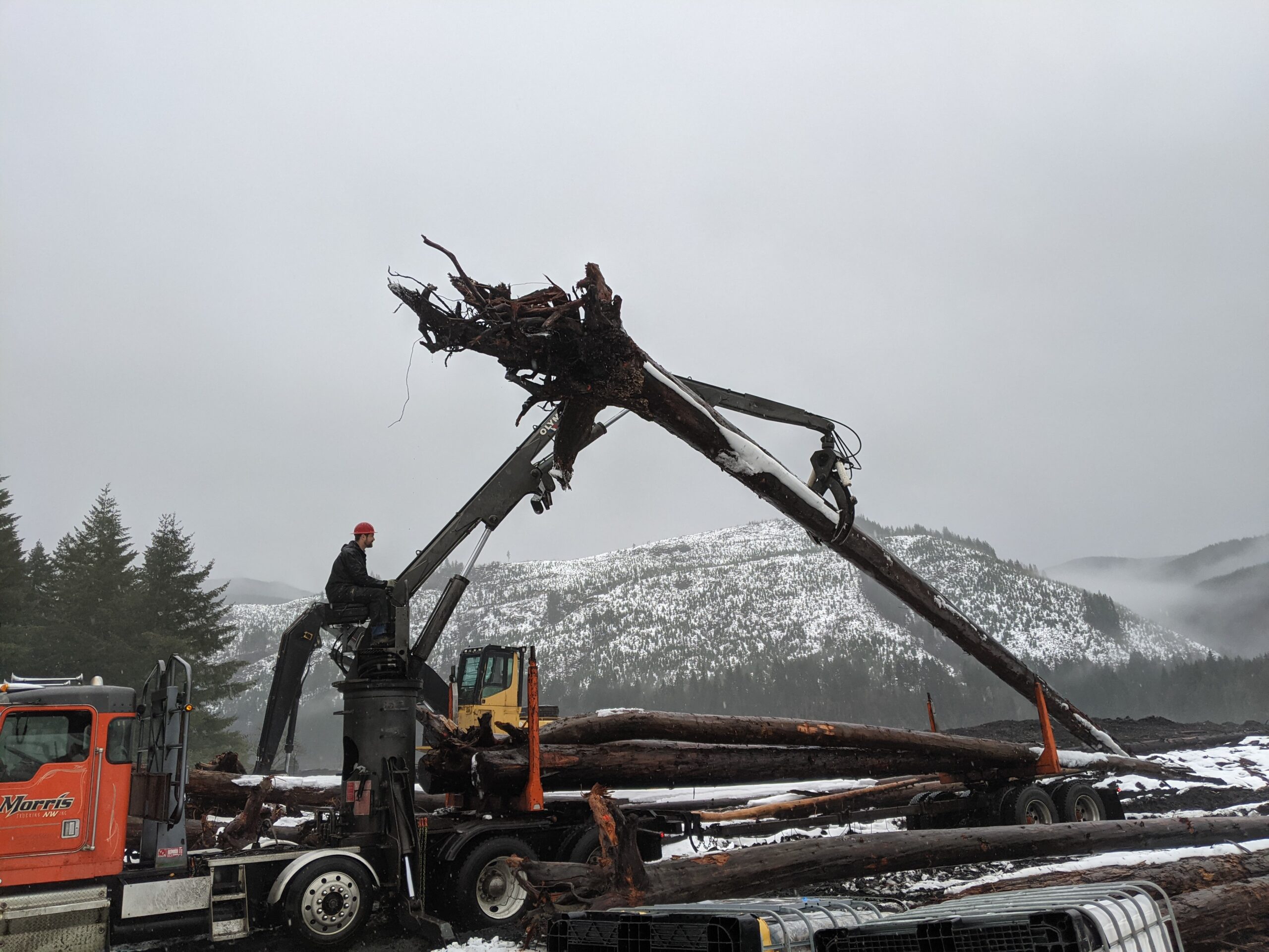 Collecting wood recently pulled from a reservoir.