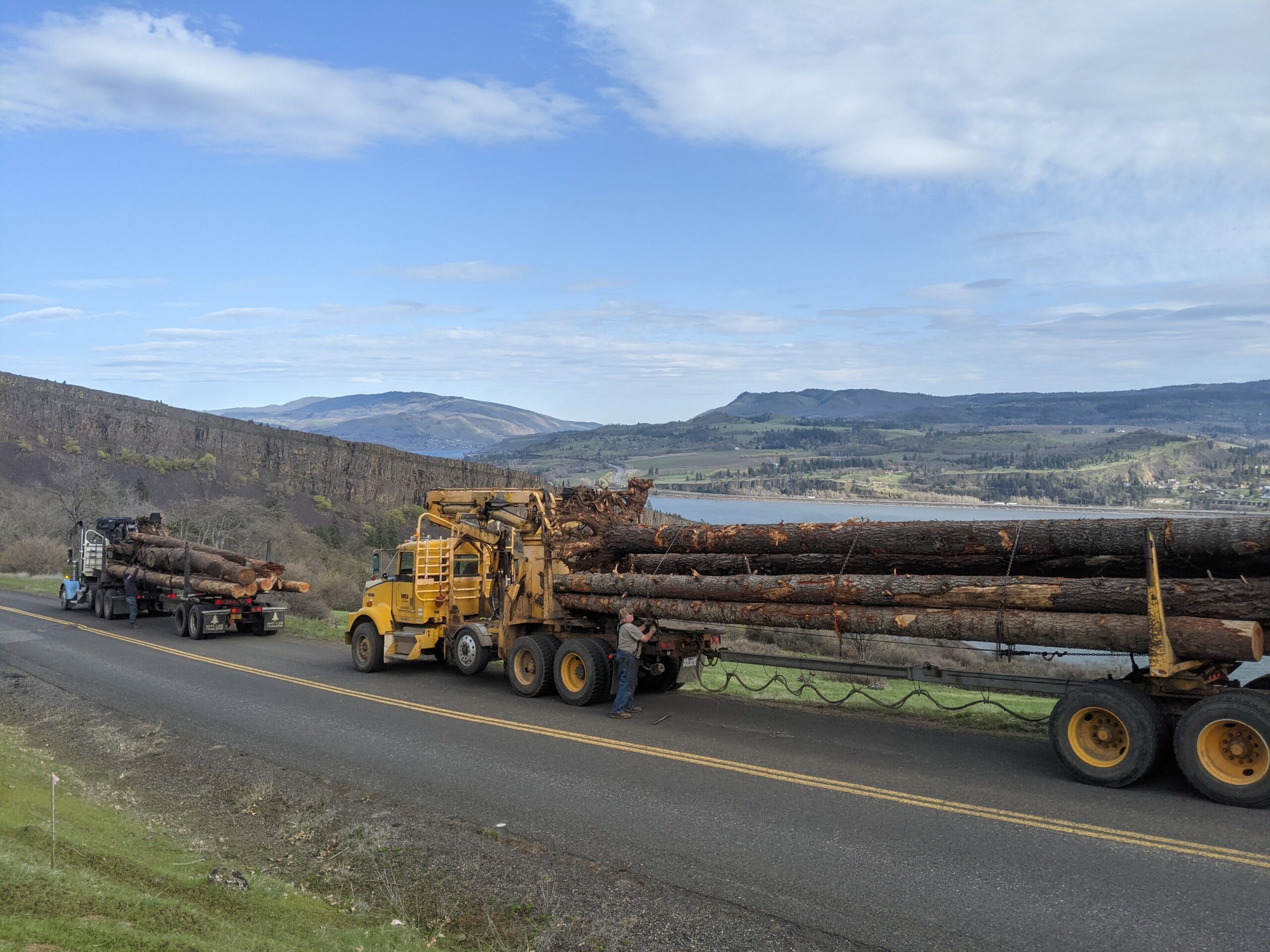 Log truck with logs moving down the highway