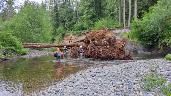 An aerial view of the winding Pilchuck River.