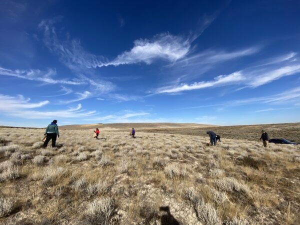 People outside collecting seeds.