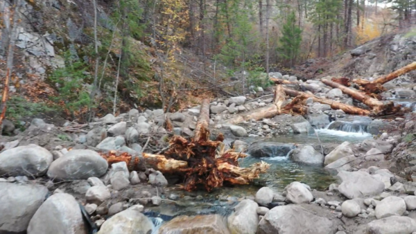 Step pools created for the Loup Loup Creek Restoration project.