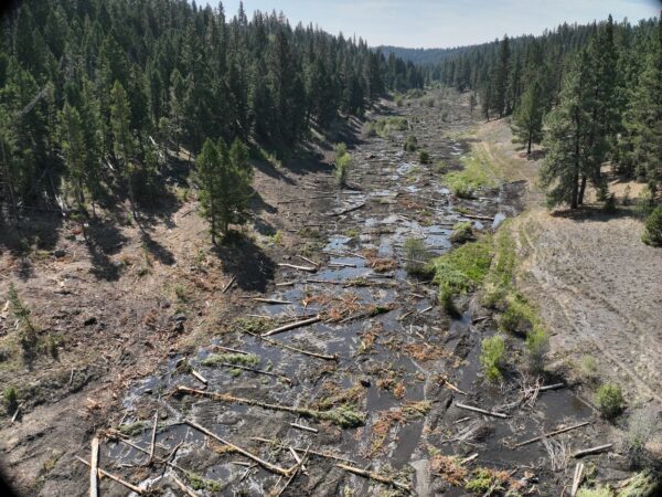 Aerial view of the river valley.