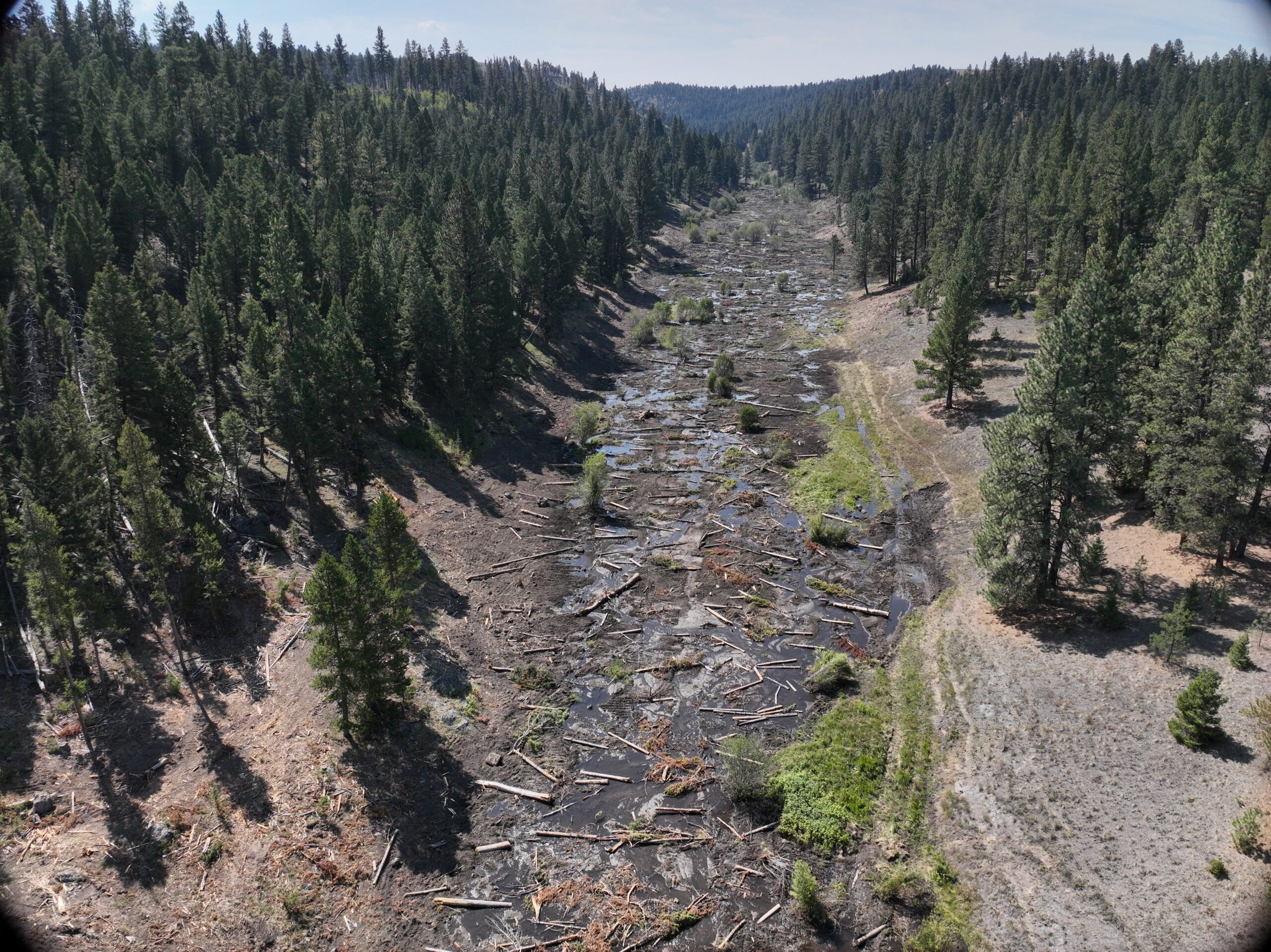 Aerial view of a valley with wide floodplain.