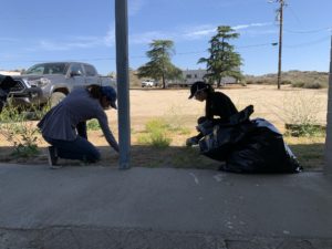 Two students kneeling and pulling invasive species